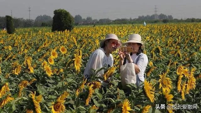 休闲农庄如何变身农业旅游景区？