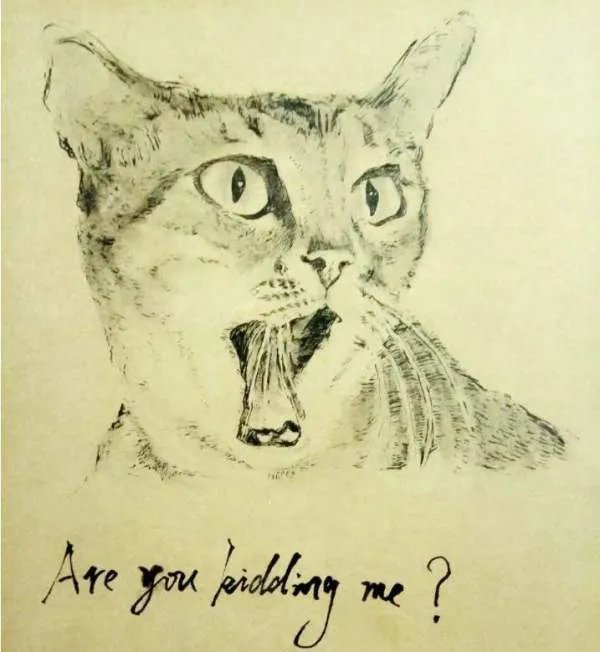 are you kidding me是什么意思