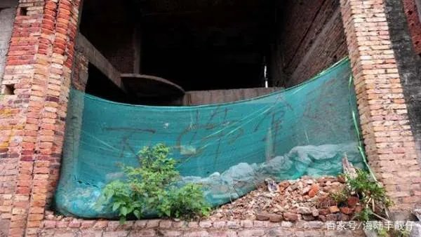 深圳124栋烂尾别墅群荒废已久,有人居住种菜,网友众说纷纭,你怎么看?