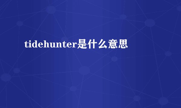 tidehunter是什么意思