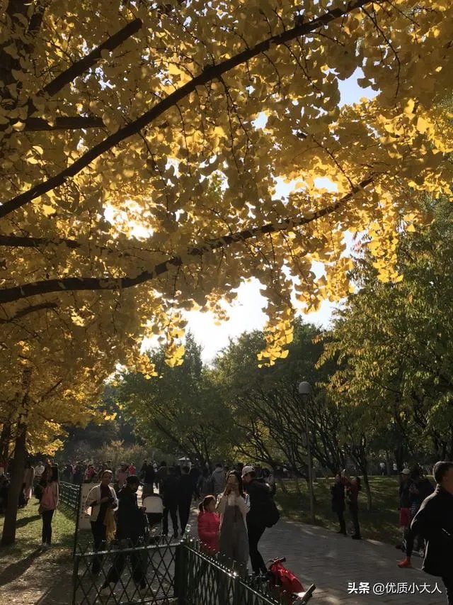 刚看完skt和g2的比赛，感觉lpl已经凉了一半了，你怎么看