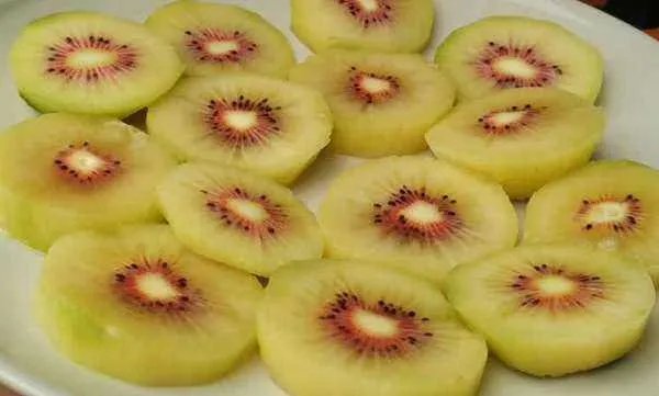 平地一亩能种植多少株红心猕猴桃