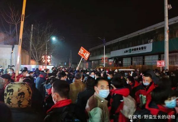 新增17例，14例在河北，河北到底是个啥情况？