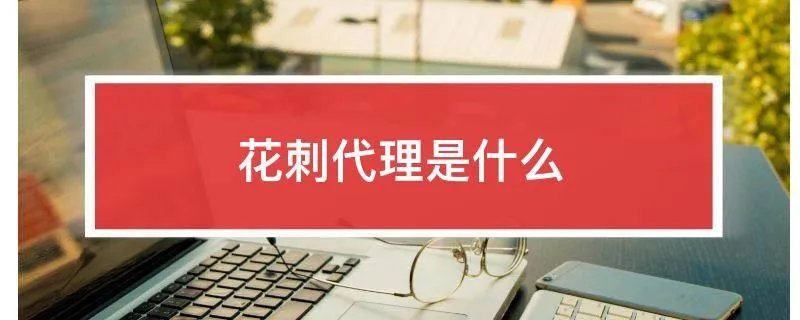 花刺代理是什么