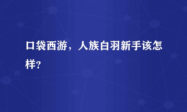 口袋西游，人族白羽新手该怎样？