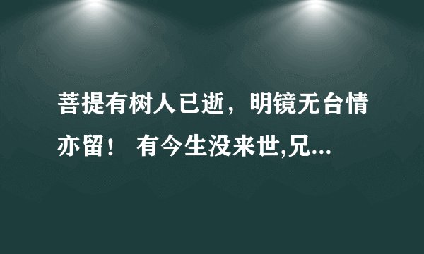 菩提有树人已逝，明镜无台情亦留！ 有今生没来世,兄弟情,何处寻? 是什么意思？！