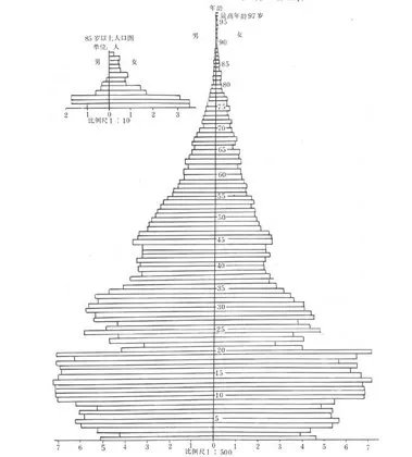 什么是人口百岁图？