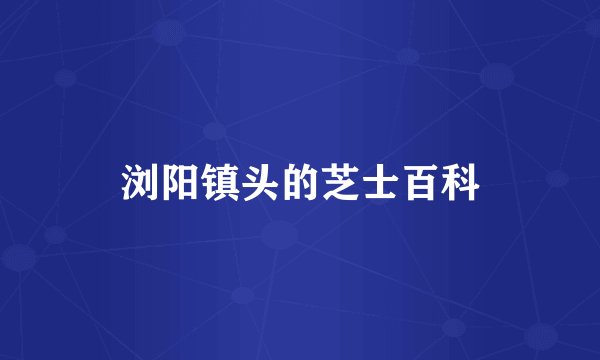 浏阳镇头的芝士百科