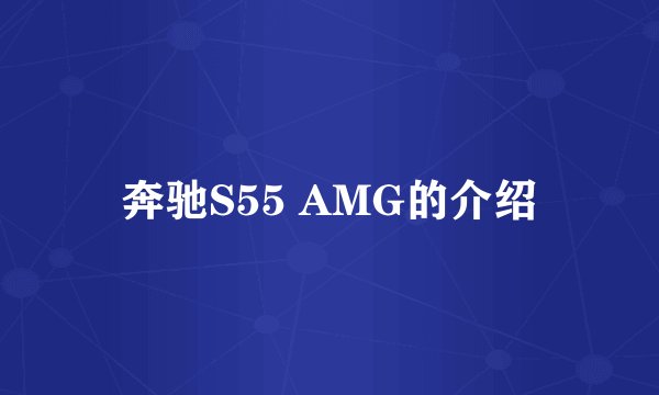 奔驰S55 AMG的介绍