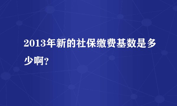 2013年新的社保缴费基数是多少啊？