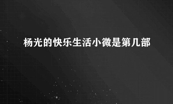杨光的快乐生活小微是第几部