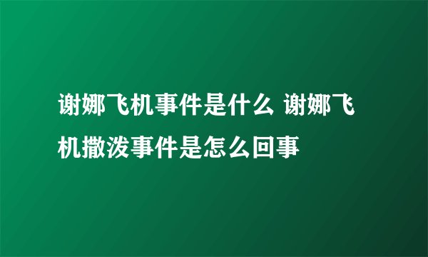 谢娜飞机事件是什么 谢娜飞机撒泼事件是怎么回事