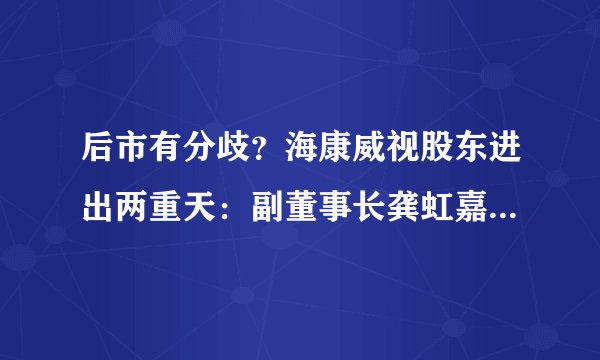 后市有分歧？海康威视股东进出两重天：副董事长龚虹嘉70亿减持，私募大佬冯柳百亿增持