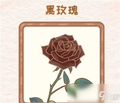 《花店物语》黑玫瑰怎么获得 黑玫瑰获取方法分享