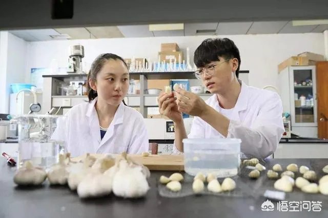 本科生、研究生、硕士生、博士是什么关系？