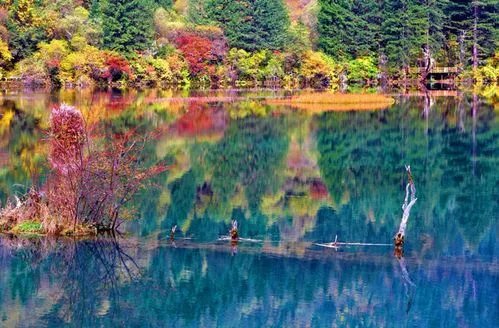 九寨沟旅游自助旅游全攻略