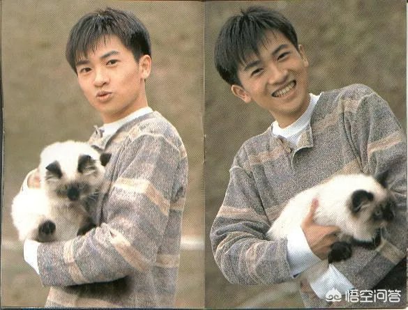 你听说过小虎队吗?他们到底是怎样的一个存在?