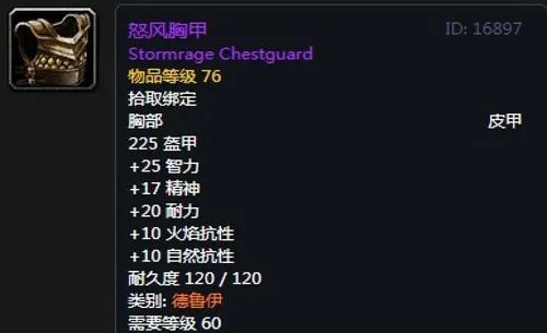 《魔兽世界》怀旧服德鲁伊T2怒风套装属性出处一览