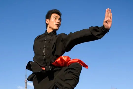 非物质文化遗产的体育项目