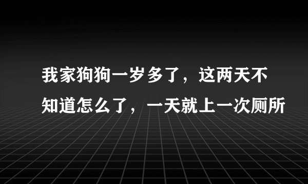我家狗狗一岁多了，这两天不知道怎么了，一天就上一次厕所