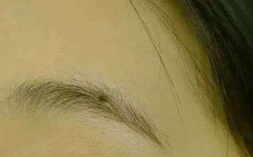 一把刀，顺水漂。有眼睛，没眉毛。打一动物名