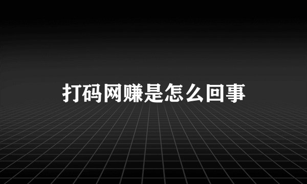 打码网赚是怎么回事