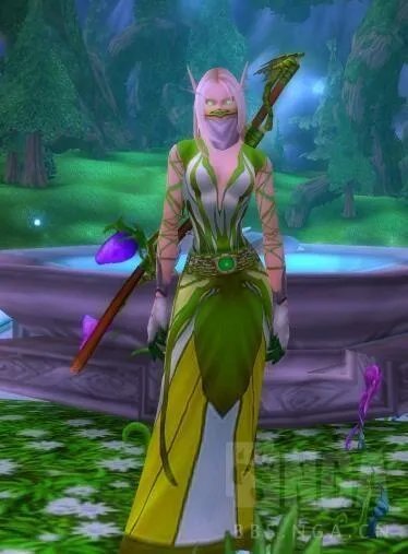 《魔兽世界》幻化装备整理大全