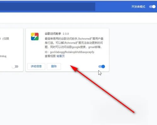 谷歌访问助手打开就不能用是怎么回事