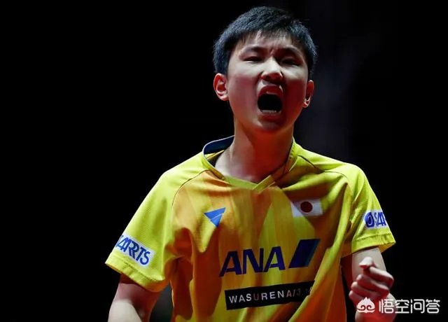 2019卡塔尔公开赛名单