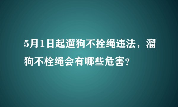 5月1日起遛狗不拴绳违法，溜狗不栓绳会有哪些危害？