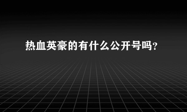 热血英豪的有什么公开号吗？