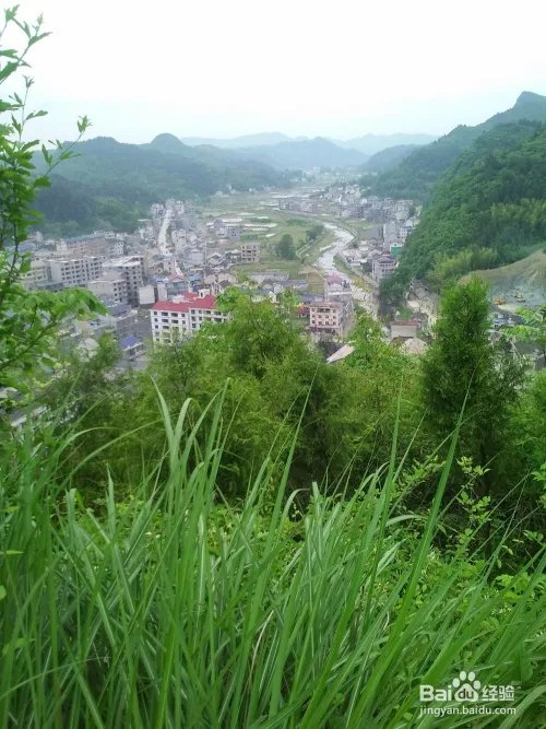 五格数理起名的运用