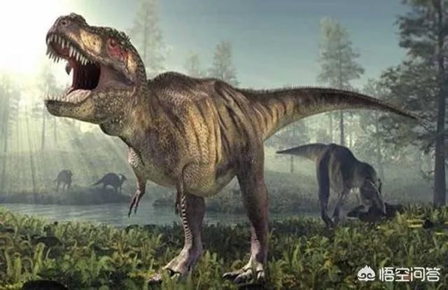 同在一个星球生存，史前动物的体型为什么都很巨大？例如：恐龙？