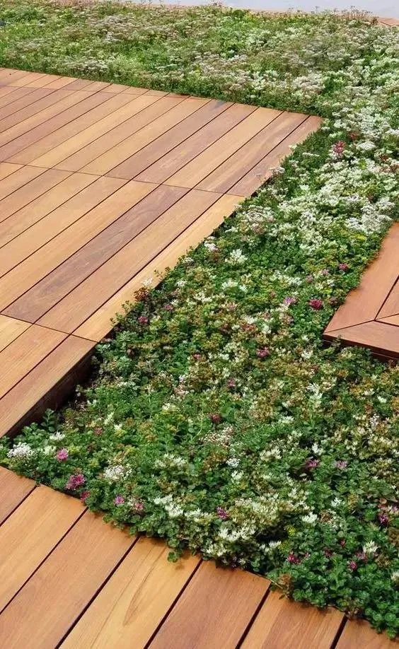 图片精选 | 小清新的木平台