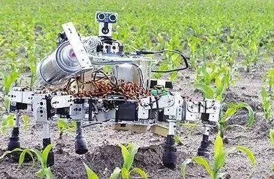 农业机器人的作者简介