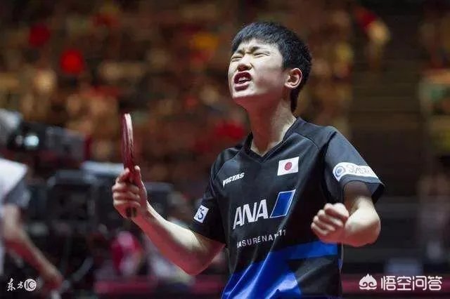 樊振东虽然获得了亚洲杯冠军，但国内媒体说金牌成色不足，你怎么看？