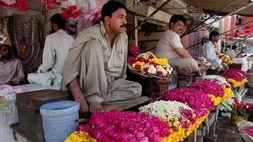 去巴基斯坦旅游，安全吗？