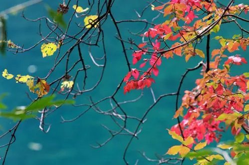 九寨沟旅游自助旅游全攻略