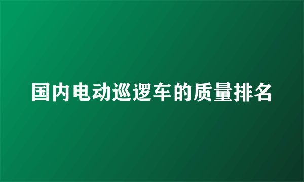国内电动巡逻车的质量排名