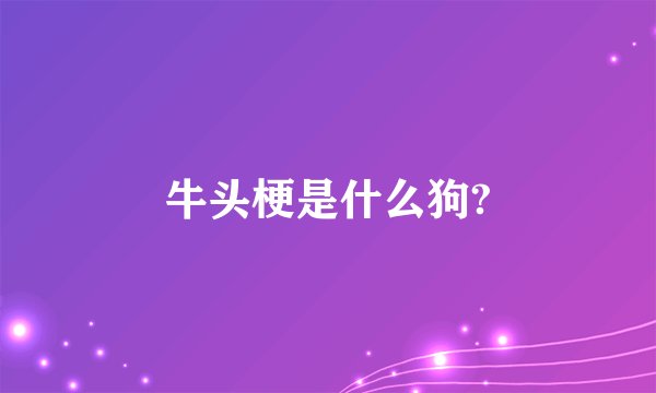 牛头梗是什么狗?