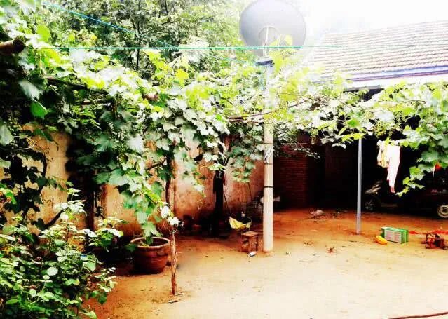 八九十年代的家装风格原来长这样,看看你家还保留了哪些旧家具