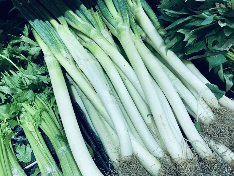 北京10月以来部分菜价涨超50% 为什么会这样