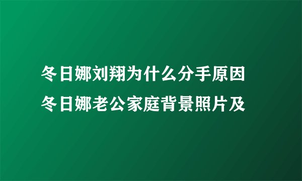 冬日娜刘翔为什么分手原因 冬日娜老公家庭背景照片及