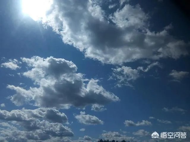 癌症晚期是独自离家出走留一份遗书不拖累家人，还是跟家人度过最后的日子？