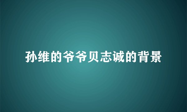 孙维的爷爷贝志诚的背景