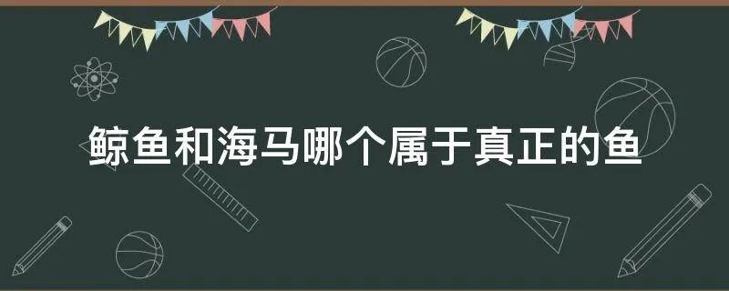 鲸鱼和海马哪个属于真正的鱼