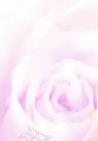 香水常识之基本香型