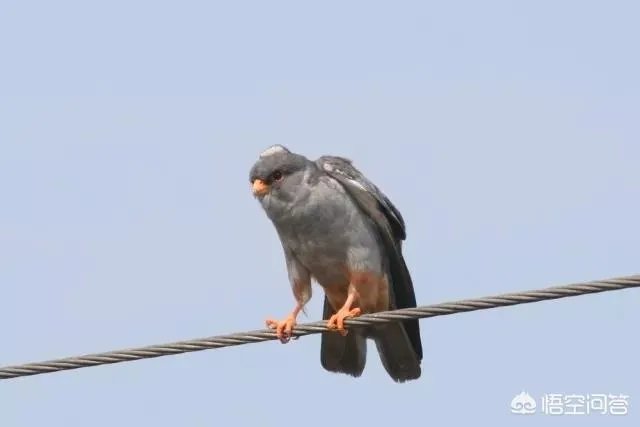 想去拉萨玩，有什么要注意的吗？