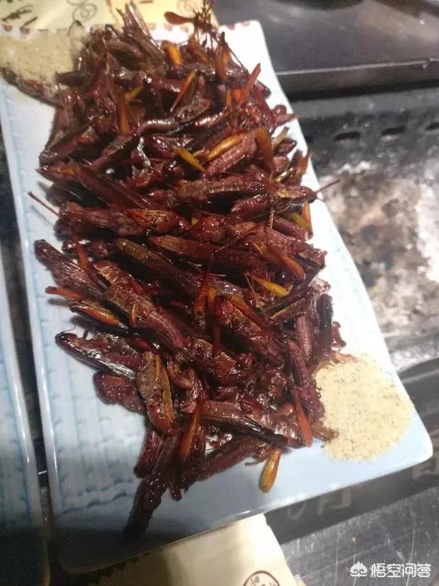 长春烧烤千千万哪家才是你最爱?