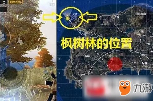 《绝地求生刺激战场》海岛地图枫树林野餐彩蛋有什么含义